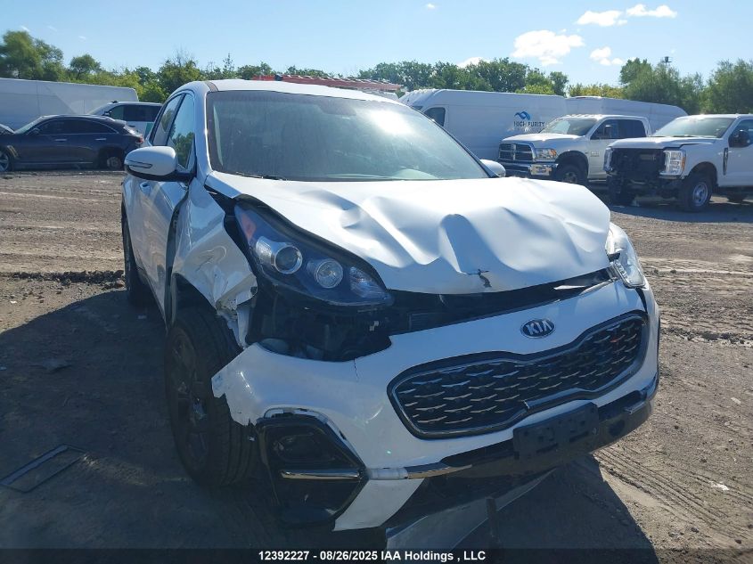 2021 Kia Sportage Lx VIN: KNDPMCAC1M7921699 Lot: 12392227