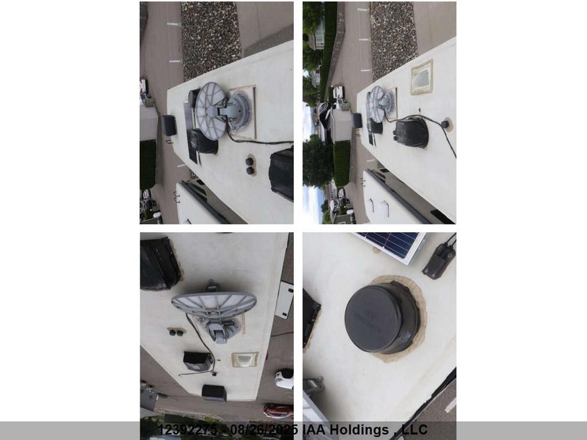 4YDF31229L4703306 2020   photo no. 14