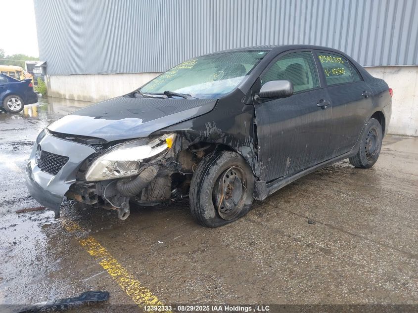 2009 Toyota Corolla VIN: 2T1BU40E29C117565 Lot: 12392333