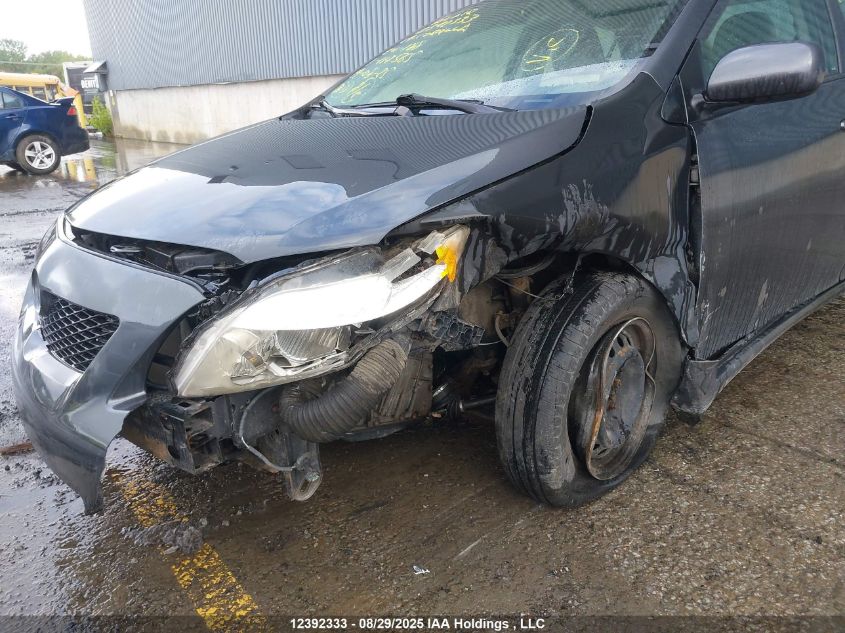 2009 Toyota Corolla VIN: 2T1BU40E29C117565 Lot: 12392333