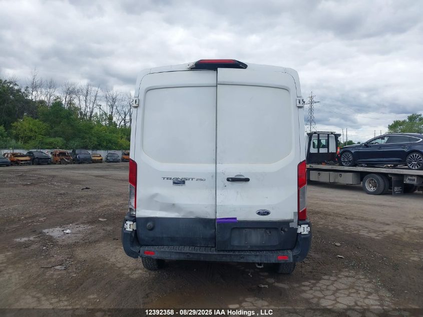 2019 Ford Transit T-250 VIN: 1FTYR2CM1KKB80731 Lot: 12392358