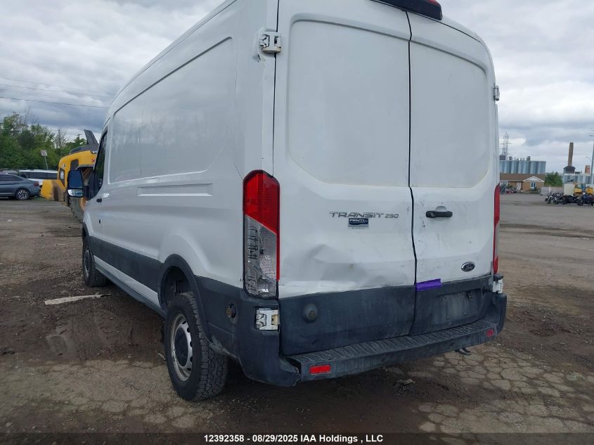 2019 Ford Transit T-250 VIN: 1FTYR2CM1KKB80731 Lot: 12392358