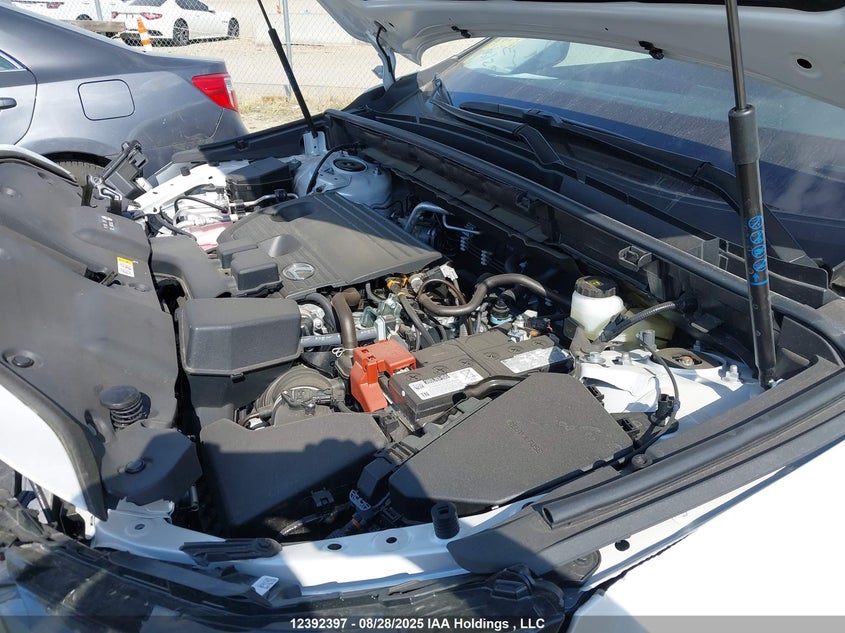 2025 Lexus Nx 250 VIN: 2T2ADCEZ3SC007143 Lot: 12392397