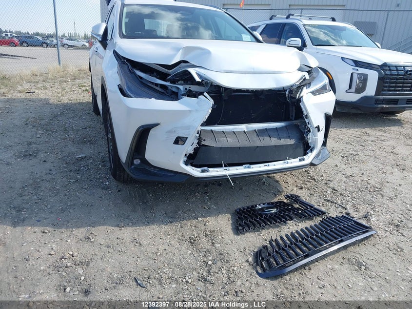 2025 Lexus Nx 250 VIN: 2T2ADCEZ3SC007143 Lot: 12392397