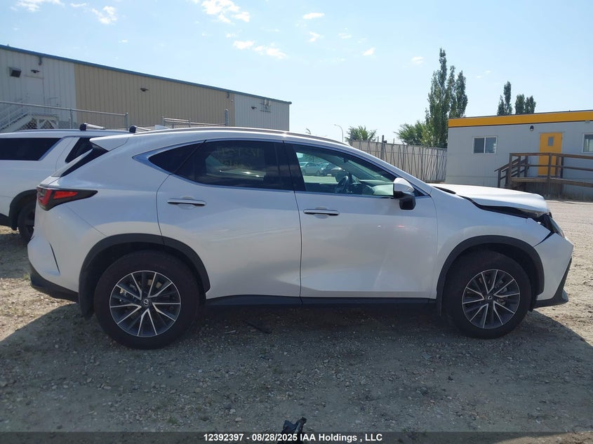 2025 Lexus Nx 250 VIN: 2T2ADCEZ3SC007143 Lot: 12392397