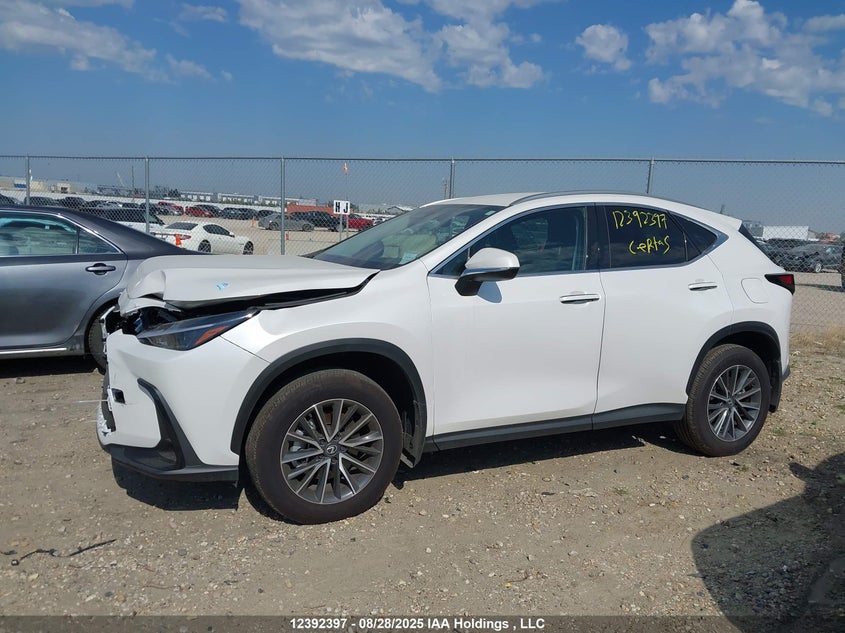 2025 Lexus Nx 250 VIN: 2T2ADCEZ3SC007143 Lot: 12392397