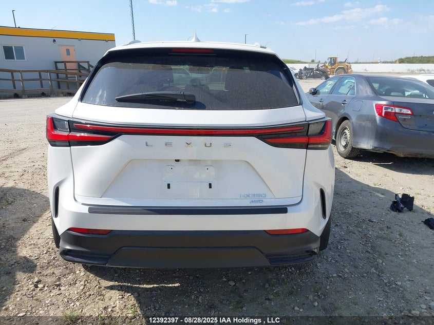 2025 Lexus Nx 250 VIN: 2T2ADCEZ3SC007143 Lot: 12392397