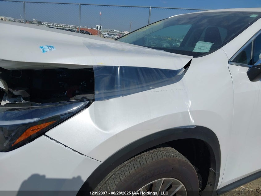2025 Lexus Nx 250 VIN: 2T2ADCEZ3SC007143 Lot: 12392397