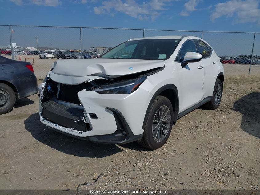 2T2ADCEZ3SC007143 2025 LEXUS NX photo no. 2