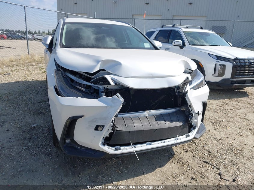 2025 Lexus Nx 250 VIN: 2T2ADCEZ3SC007143 Lot: 12392397