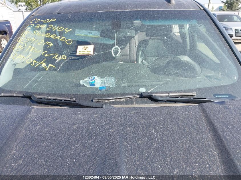 2018 Chevrolet Silverado 1500 1Lz/2Lz VIN: 3GCUKSEC9JG391219 Lot: 12392404