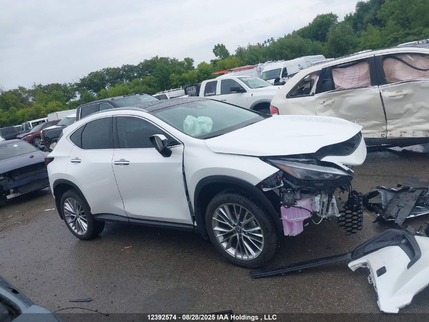 2024 Lexus Nx 350H 350H VIN: 2T2GKCEZ1RC030883 Lot: 12392574