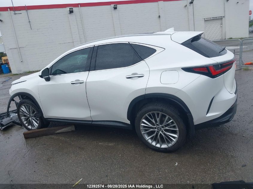 2024 Lexus Nx 350H 350H VIN: 2T2GKCEZ1RC030883 Lot: 12392574