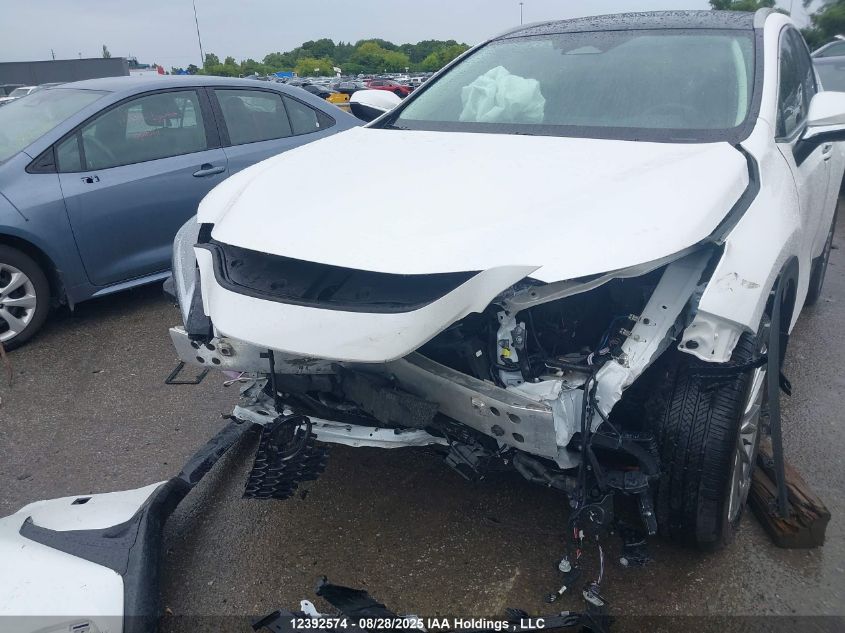 2024 Lexus Nx 350H 350H VIN: 2T2GKCEZ1RC030883 Lot: 12392574