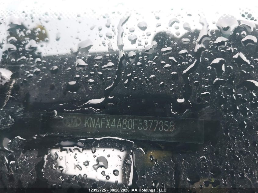 2015 Kia Forte VIN: KNAFX4A80F5377356 Lot: 12392725