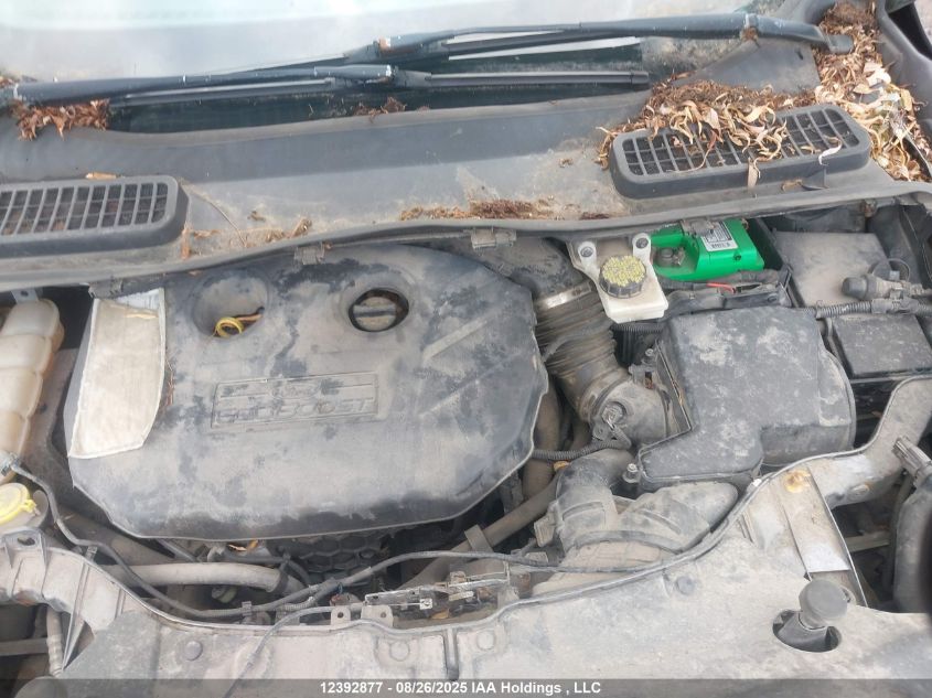 2014 Ford Escape Se VIN: 1FMCU9G90EUA95116 Lot: 12392877