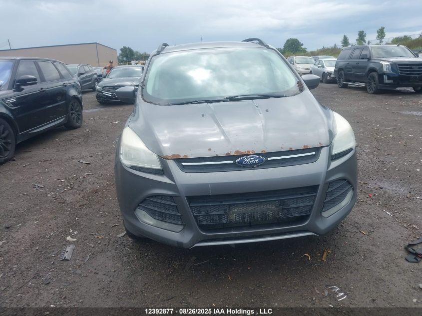 2014 Ford Escape Se VIN: 1FMCU9G90EUA95116 Lot: 12392877