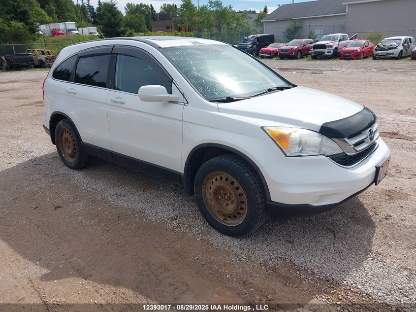 5J6RE4H54AL820236 2010 Honda Cr-V Ex auction photo 1