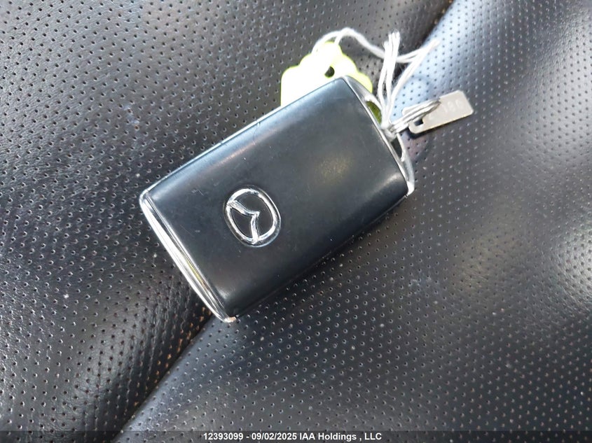 2021 Mazda 3 Premium VIN: JM1BPADL8M1336302 Lot: 12393099