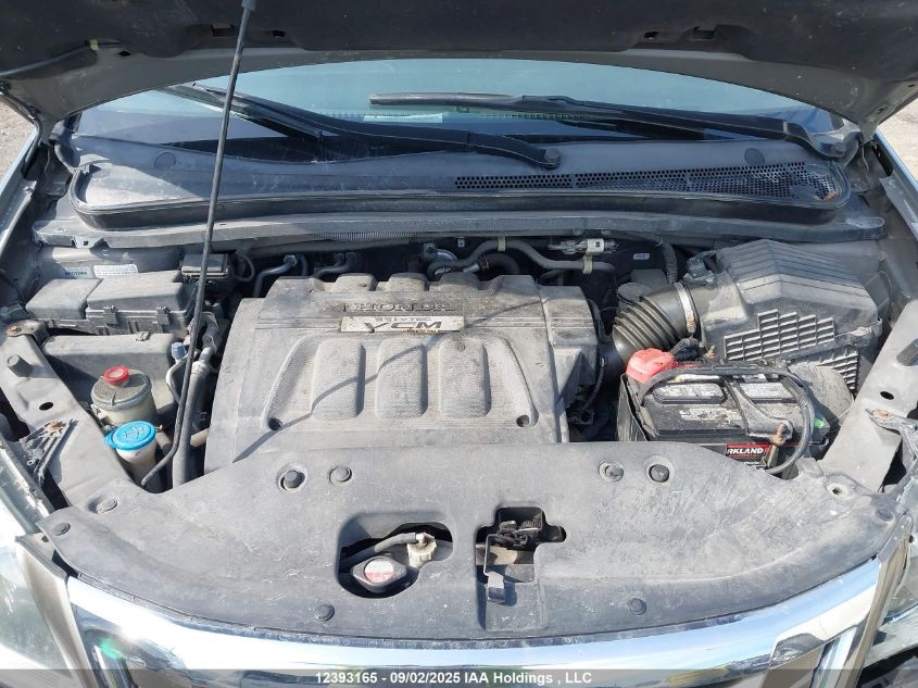 2009 Honda Odyssey Touring VIN: 5FNRL38859B504150 Lot: 12393165