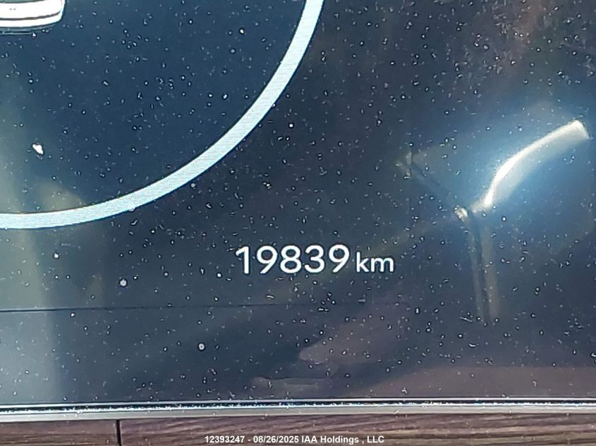 2024 Hyundai Santa Fe Limited VIN: 5NMP4DGL8RH046375 Lot: 12393247