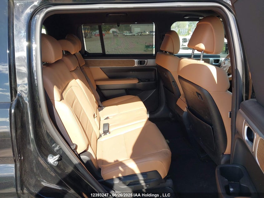 2024 Hyundai Santa Fe Limited VIN: 5NMP4DGL8RH046375 Lot: 12393247