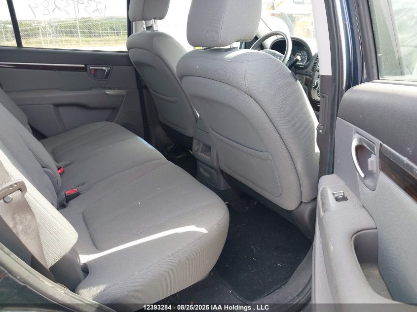 2010 Hyundai Santa Fe Gl 3.5 VIN: 5NMSGDAG6AH360480 Lot: 12393284