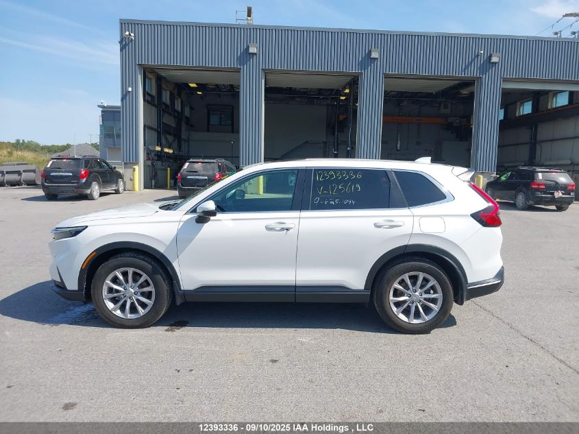 2023 Honda Cr-V Ex-L VIN: 2HKRS4H70PH125619 Lot: 12393336