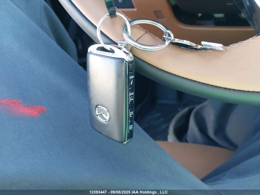 2025 Mazda Cx-9 VIN: JM3KKEHC4S1233785 Lot: 12393447