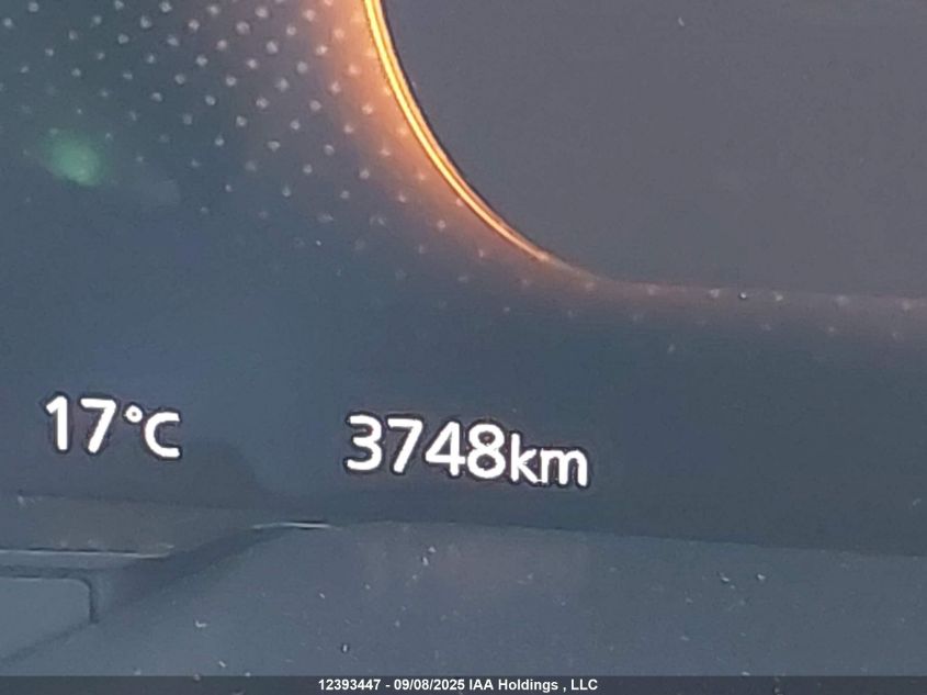 2025 Mazda Cx-9 VIN: JM3KKEHC4S1233785 Lot: 12393447