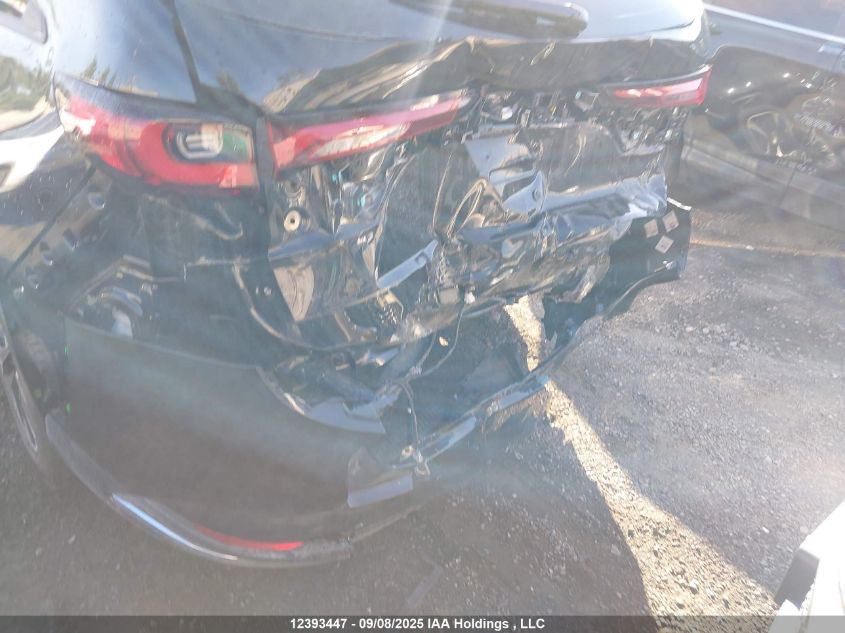 2025 Mazda Cx-9 VIN: JM3KKEHC4S1233785 Lot: 12393447