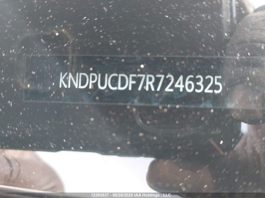 2024 Kia Sportage Lx VIN: KNDPUCDF7R7246325 Lot: 12393537