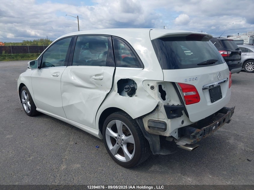 2014 Mercedes-Benz B 250 Sports Tourer VIN: WDDMH4EB5EJ198920 Lot: 12394076