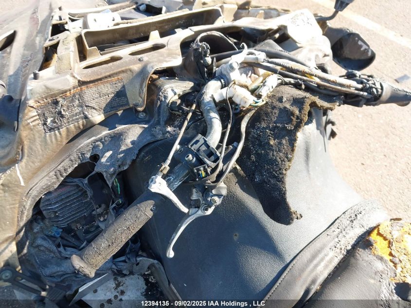 2001 Yamaha VIN: 8DM008983 Lot: 12394135