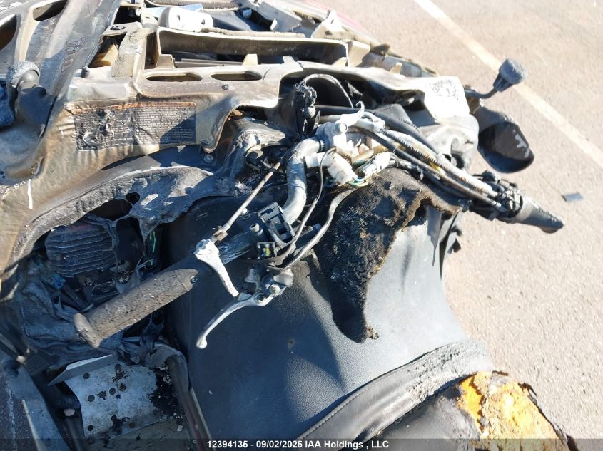 2001 Yamaha VIN: 8DM008983 Lot: 12394135