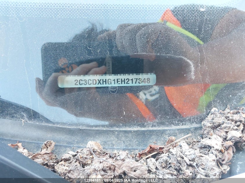 2014 Dodge Charger Sxt VIN: 2C3CDXHG1EH217348 Lot: 12394181