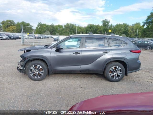 2023 Toyota Highlander Xle VIN: 5TDKDRBH6PS501857 Lot: 12394227