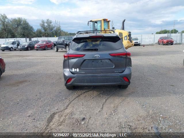 2023 Toyota Highlander Xle VIN: 5TDKDRBH6PS501857 Lot: 12394227