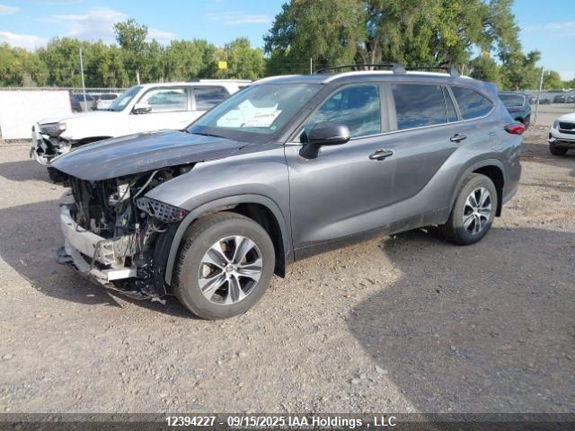 2023 Toyota Highlander Xle VIN: 5TDKDRBH6PS501857 Lot: 12394227