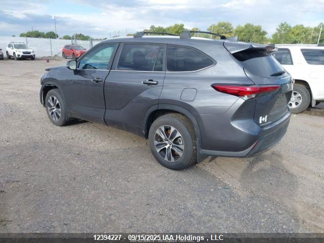 2023 Toyota Highlander Xle VIN: 5TDKDRBH6PS501857 Lot: 12394227