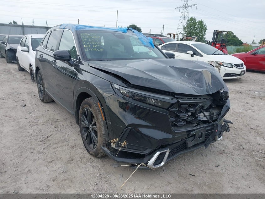 2HKRS6H96RH205698 2024 Honda Cr-V Sport Touring auction photo 1