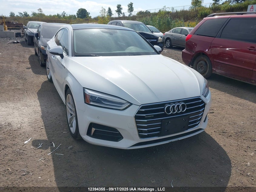 WAUANCF53KA079569 2019 Audi A5 Sportback auction photo 1