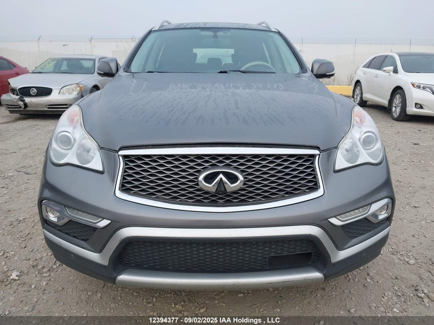 JN1BJ0RRXGM261245 2016 INFINITI QX50 photo no. 12