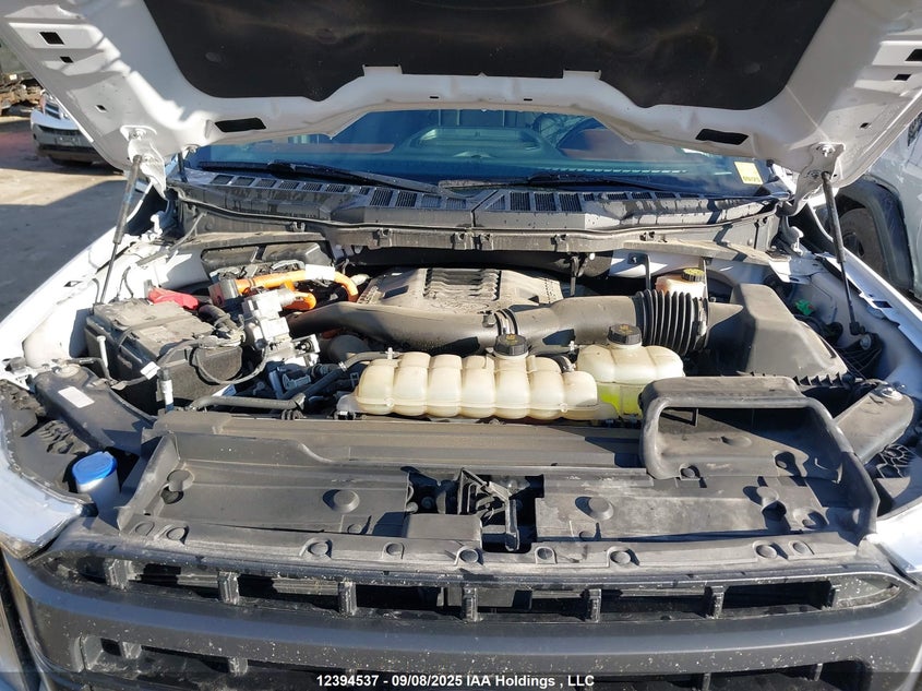 2022 Ford F-150 VIN: 1FTFW1ED1NFB65375 Lot: 12394537