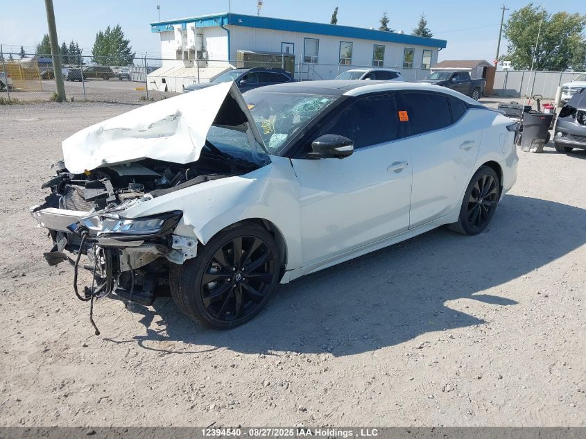 2021 Nissan Maxima Sr VIN: 1N4AA6EV6MC501171 Lot: 12394540
