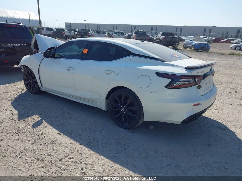 2021 Nissan Maxima Sr VIN: 1N4AA6EV6MC501171 Lot: 12394540