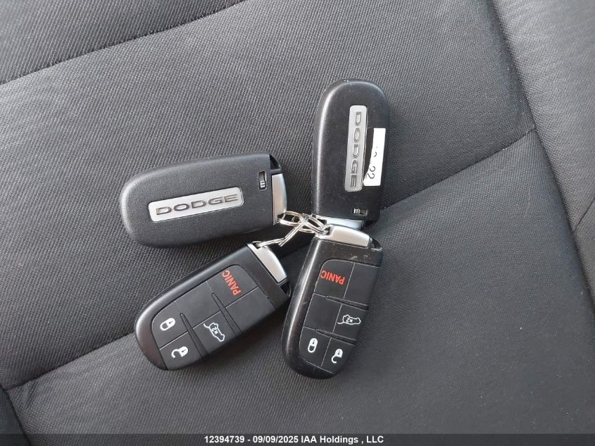 2022 Dodge Durango Pursuit/Enforcer VIN: 1C4RDJFG7NC193310 Lot: 12394739