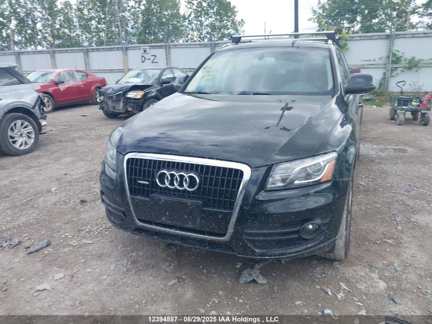 2010 Audi Q5 3.2 Premium VIN: WA1LKCFP1AA087622 Lot: 12394887