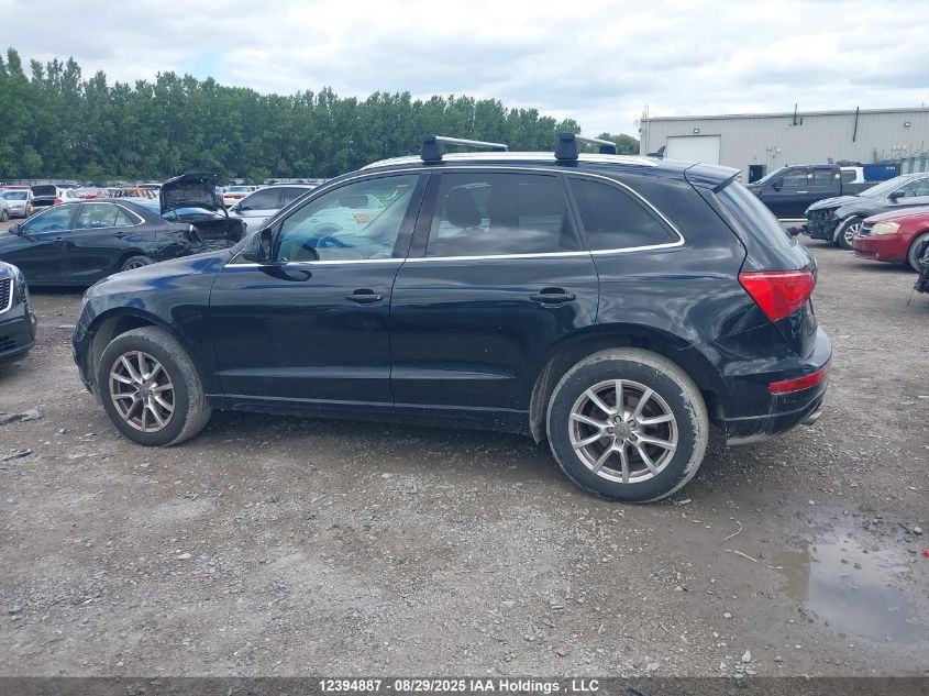 2010 Audi Q5 3.2 Premium VIN: WA1LKCFP1AA087622 Lot: 12394887