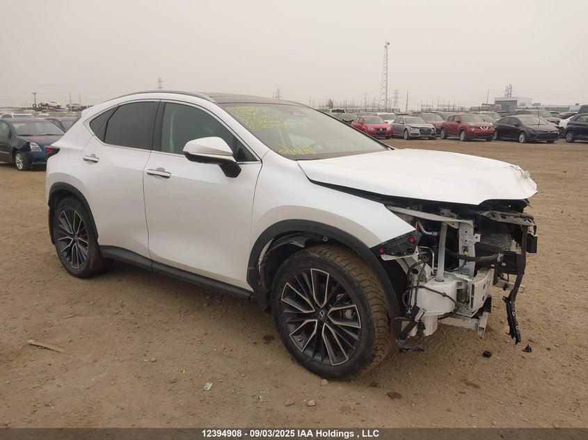 2T2GKCEZ5NC002403 2022 Lexus Nx 350H 350H auction photo 1